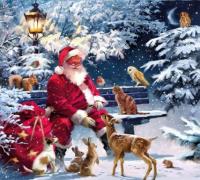 Opakowanie DIAMENTOWA MOZAIKA BN  ZIMA ŚWIĘTY MIKOŁAJ I ZWIERZĘTA