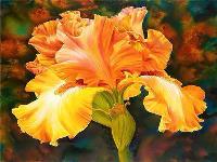 Opakowanie Diamentowa mozaika Irys 60513