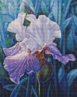 Opakowanie Diamentowa mozaika - Irys wiosenny 40x50cm