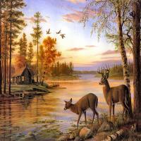 Opakowanie Diamentowa mozaika jelenie nad jeziorem landshaft  NO-1007352