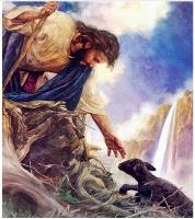 Opakowanie Diamentowa mozaika Jezus ratuje czarną owce NO-1007284