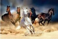 Opakowanie Diamentowa mozaika konie w galopie na piachu NO-1006299