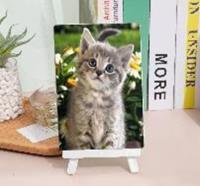 Opakowanie Diamentowa mozaika kotek wśród stokrotek+sztaluga NO-1007264