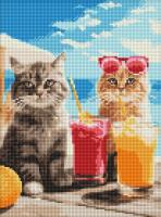 Opakowanie Diamentowa mozaika - Malownicza kraina 30x40cm