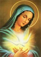 Opakowanie Diamentowa mozaika Matka boska z gołąbkiem NO-1007127