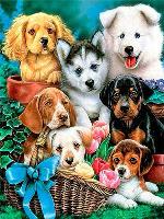 Opakowanie Diamentowa mozaika Psy 60713