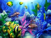 Opakowanie Diamentowa mozaika Rafa koralowa 60763