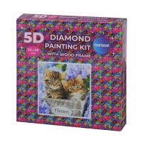 Opakowanie Diamentowa mozaika w ramce - Kotki 20x20 89776