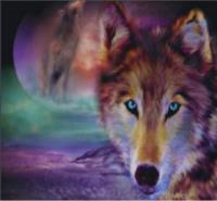 Opakowanie Diamentowa mozaika wilk z pełnią pak NO-1004952