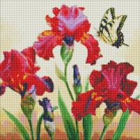 Opakowanie Diamentowa mozaika - Wytworne irysy 40x40cm