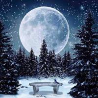 Opakowanie Diamentowa mozaika zimowy księżyc NO-1009202