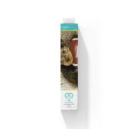 Opakowanie DIAMOND DOTZ ADULTS  FOOTY PUP