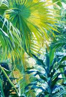 Okładka książki Dobra wiadomość