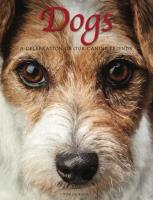 Dogs. Autor: Jackson Tom. SmakLiter.pl Okładka książki Dogs