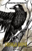 Droga dusz. Autor: Kaczmarczyk Katarzyna. SmakLiter.pl Okładka książki Droga dusz