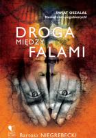 Droga między falami. Autor: Niegrebecki Bartosz. SmakLiter.pl Okładka książki Droga między falami