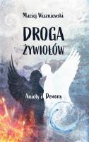 Droga Żywiołów. Anioły i Demony. Autor: Wiszniewski Maciej. SmakLiter.pl Okładka książki Droga Żywiołów. Anioły i Demony