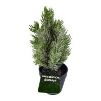 Opakowanie Drzewko świąteczne sztuczne