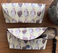 Opakowanie Etui na okulary GL11 Sowy