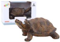 Opakowanie Figurka żółw gad lądowy czarny
