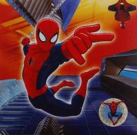 Opakowanie Fotoalbum kieszeniowy klejony Disney