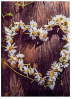 Opakowanie Fotoalbum kieszeniowy szyty Braider 2