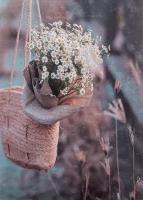 Opakowanie Fotoalbum kieszeniowy szyty Cruet