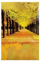 Opakowanie Fotoalbum kieszeniowy szyty Main 2