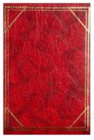 Opakowanie Fotoalbum kieszeniowy szyty Vinyl 1