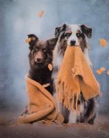 Opakowanie Fotoalbum kieszeniowy zgrzewany Adore