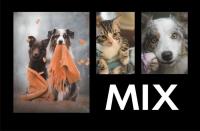 Opakowanie Fotoalbum kieszeniowy zgrzewany Adore MIX