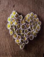 Opakowanie Fotoalbum kieszeniowy zgrzewany Brownie