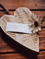 Opakowanie Fotoalbum kieszeniowy zgrzewany Brownie