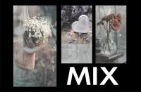 Opakowanie Fotoalbum kieszeniowy zgrzewany Cruet MIX