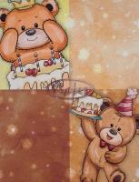 Opakowanie Fotoalbum kieszeniowy zgrzewany Dear