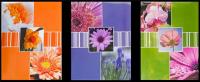 Opakowanie Fotoalbum kieszeniowy zgrzewany Florid MIX