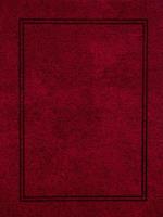 Opakowanie Fotoalbum kieszeniowy zgrzewany Vinyl