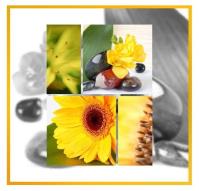 Opakowanie Fotoalbum samoprzylepny Art