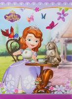 Opakowanie Fotoalbum samoprzylepny Disney