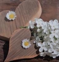 Opakowanie Fotoalbum samoprzylepny Firry