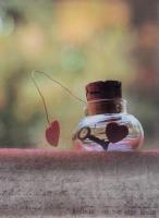 Opakowanie Fotoalbum samoprzylepny Jiffy