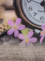 Opakowanie Fotoalbum samoprzylepny Jiffy