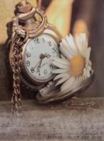 Opakowanie Fotoalbum samoprzylepny Jiffy