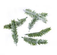 Gałązki jodły 9,5cm 6szt. Wydawca: Dalprint. SmakLiter.pl Opakowanie Gałązki jodły 9,5cm 6szt