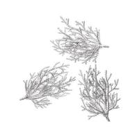 Gałązki srebrne 9cm 3szt. Wydawca: Dalprint. SmakLiter.pl Opakowanie Gałązki srebrne 9cm 3szt