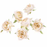 Opakowanie Główki kwiatowe kamelii kremowe 6szt.