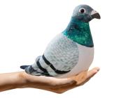 Opakowanie Gołąb grzywacz szary pluszowy 20cm