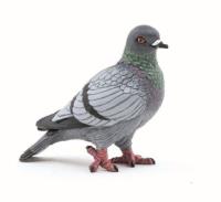 Gołąb. Wydawca: PAPO. SmakLiter.pl Opakowanie Gołąb