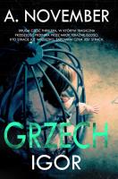 Grzech Tom 2. Autor: A. November. SmakLiter.pl Okładka książki Grzech Tom 2