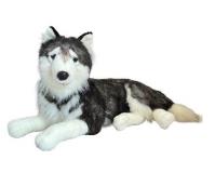 Opakowanie Husky leżący 60cm